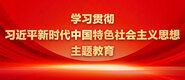 免贵看黄人口在线观看污污18勿进学习贯彻习近平新时代中国特色社会主义思想主题教育_fororder_ad-371X160(2)